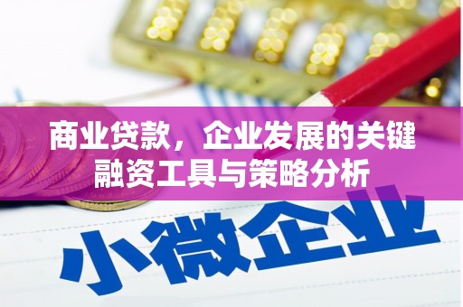 阜城商业贷款，企业发展的关键融资工具与策略分析