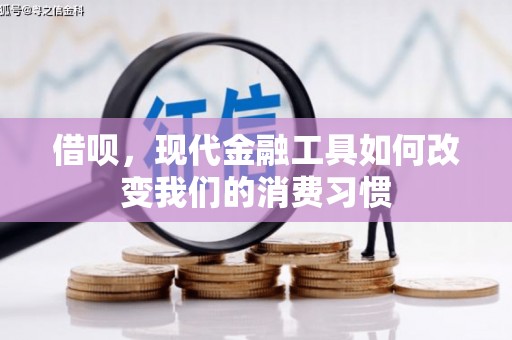 阜城借呗，现代金融工具如何改变我们的消费习惯