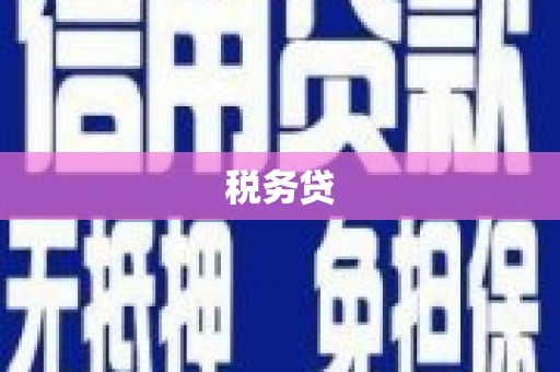 阜城税务贷