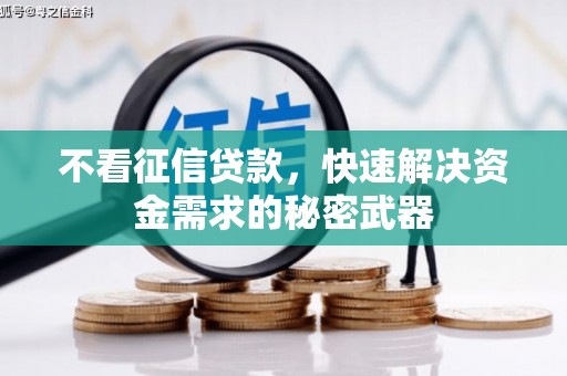 阜城不看征信贷款，快速解决资金需求的秘密武器