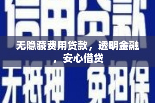 阜城无隐藏费用贷款，透明金融，安心借贷