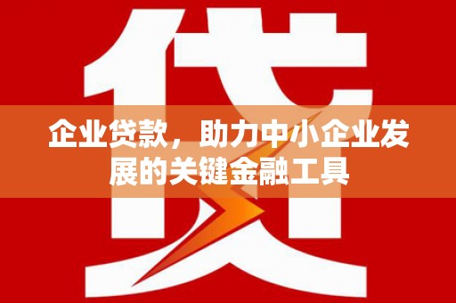 阜城企业贷款，助力中小企业发展的关键金融工具