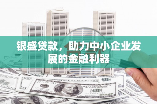 阜城银盛贷款，助力中小企业发展的金融利器