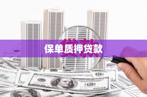 阜城保单质押贷款