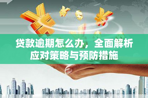 阜城贷款逾期怎么办，全面解析应对策略与预防措施
