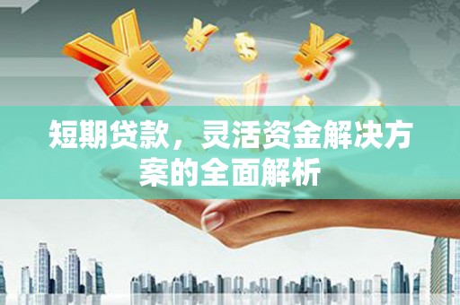 阜城短期贷款，灵活资金解决方案的全面解析