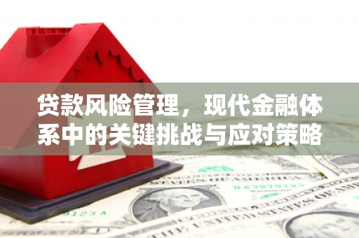 阜城贷款风险管理，现代金融体系中的关键挑战与应对策略
