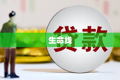 阜城生命线
