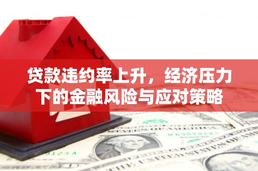 阜城贷款违约率上升，经济压力下的金融风险与应对策略
