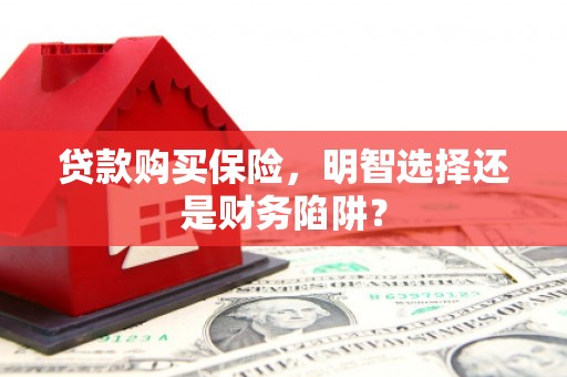 阜城贷款购买保险，明智选择还是财务陷阱？