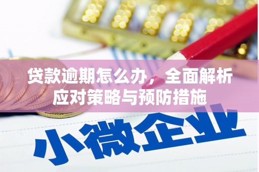 阜城贷款逾期怎么办，全面解析应对策略与预防措施