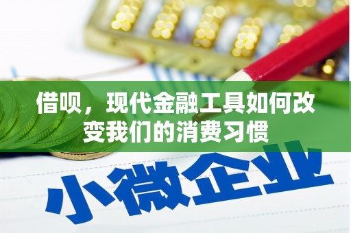 阜城借呗，现代金融工具如何改变我们的消费习惯