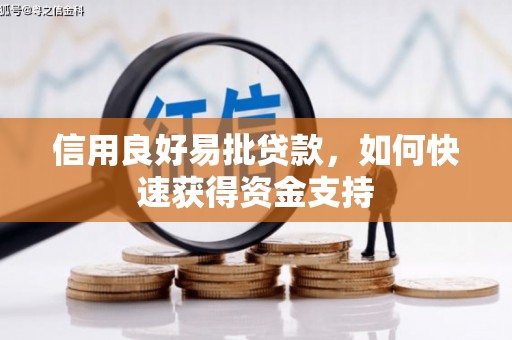 阜城信用良好易批贷款，如何快速获得资金支持