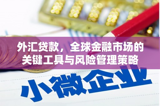 阜城外汇贷款，全球金融市场的关键工具与风险管理策略
