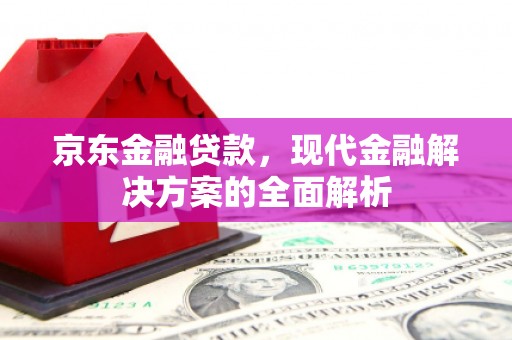 阜城京东金融贷款，现代金融解决方案的全面解析