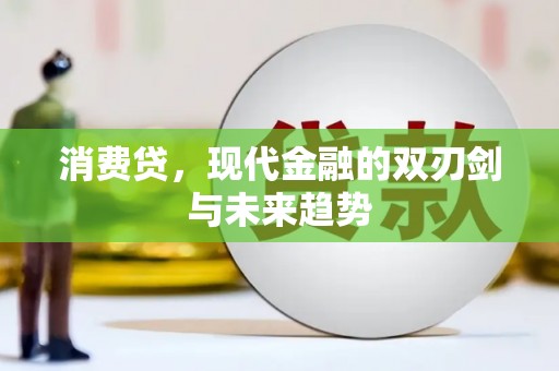 阜城消费贷，现代金融的双刃剑与未来趋势