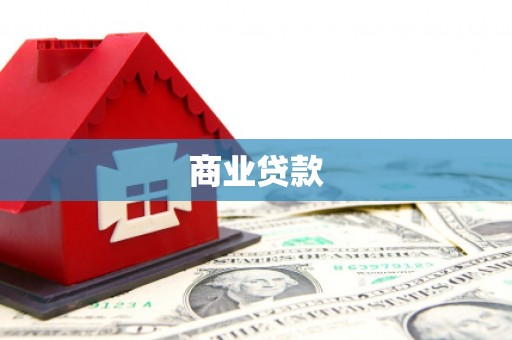 阜城商业贷款