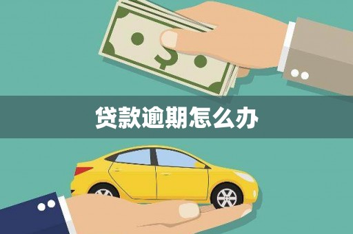 阜城贷款逾期怎么办