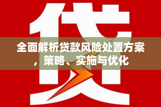 阜城全面解析贷款风险处置方案，策略、实施与优化