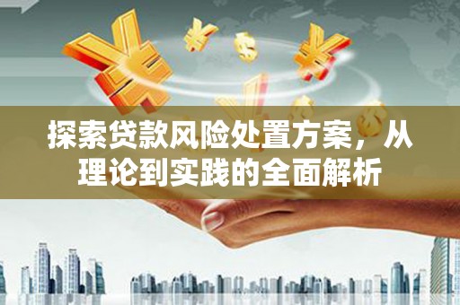 阜城探索贷款风险处置方案，从理论到实践的全面解析