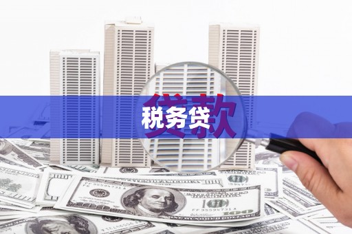 阜城税务贷