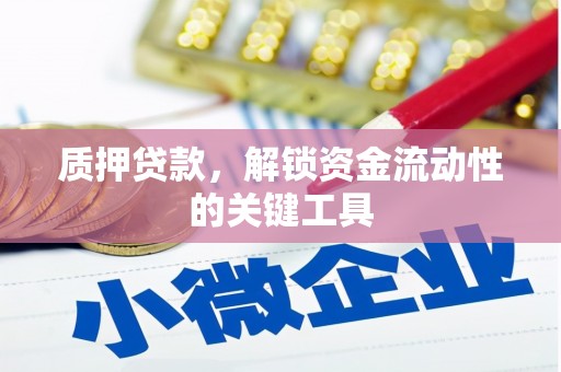 阜城质押贷款，解锁资金流动性的关键工具