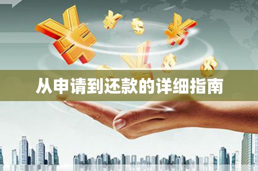 阜城从申请到还款的详细指南