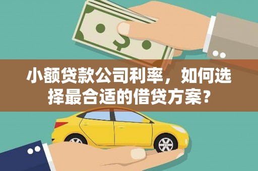 阜城小额贷款公司利率，如何选择最合适的借贷方案？