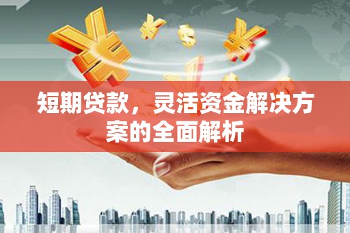 阜城短期贷款，灵活资金解决方案的全面解析