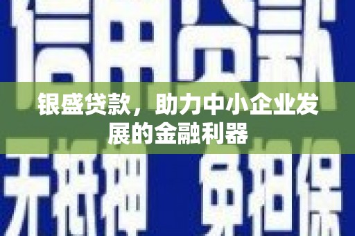 阜城银盛贷款，助力中小企业发展的金融利器