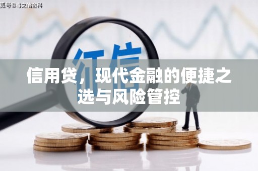 阜城信用贷，现代金融的便捷之选与风险管控