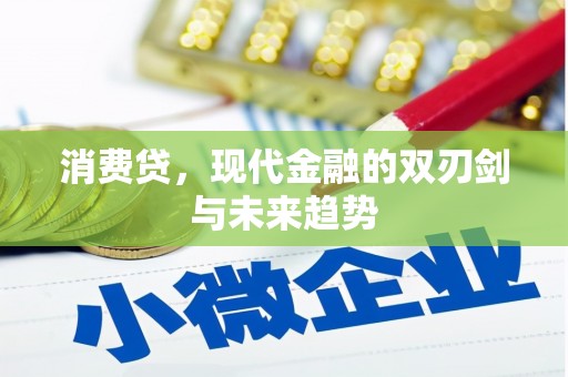 阜城消费贷，现代金融的双刃剑与未来趋势