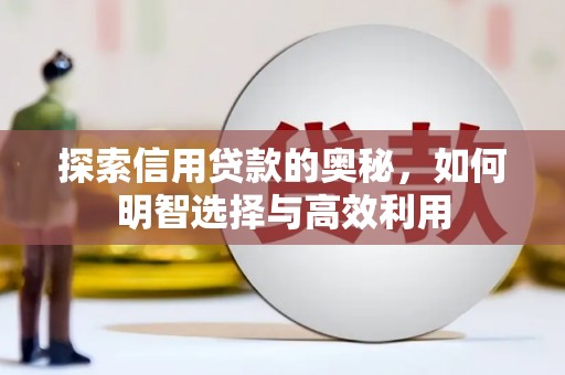 阜城探索信用贷款的奥秘，如何明智选择与高效利用