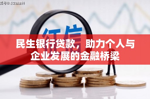 阜城民生银行贷款，助力个人与企业发展的金融桥梁