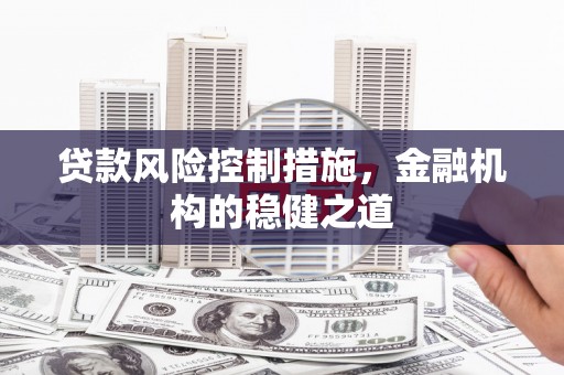 阜城贷款风险控制措施，金融机构的稳健之道