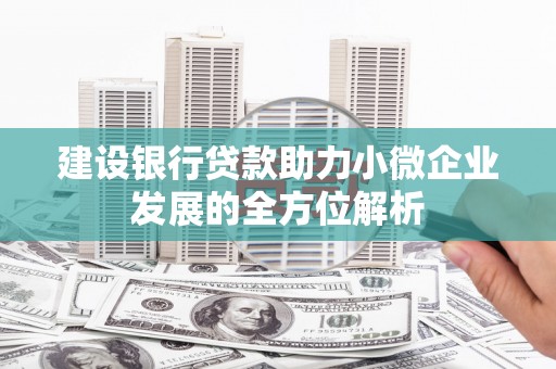 阜城建设银行贷款助力小微企业发展的全方位解析