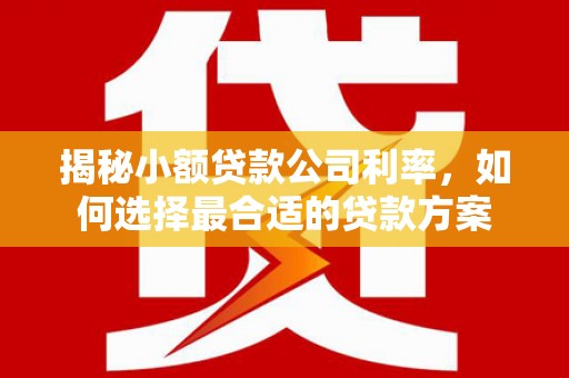 阜城揭秘小额贷款公司利率，如何选择最合适的贷款方案
