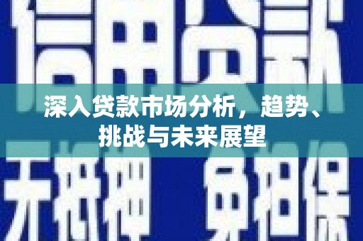 阜城深入贷款市场分析，趋势、挑战与未来展望