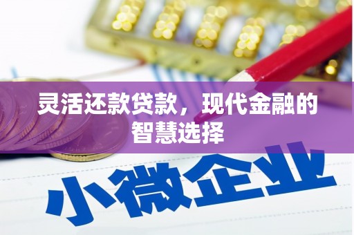 阜城灵活还款贷款，现代金融的智慧选择