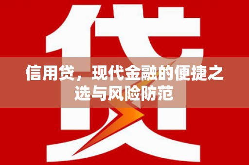 阜城信用贷，现代金融的便捷之选与风险防范
