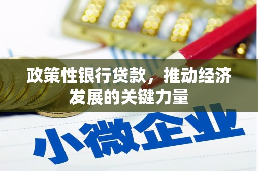 阜城政策性银行贷款，推动经济发展的关键力量