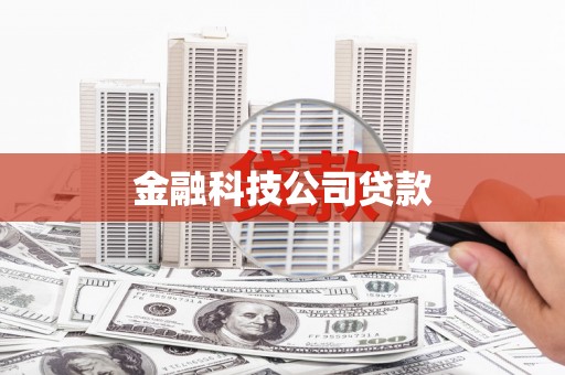 阜城金融科技公司贷款