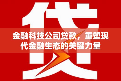 阜城金融科技公司贷款，重塑现代金融生态的关键力量