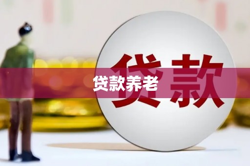 阜城贷款养老