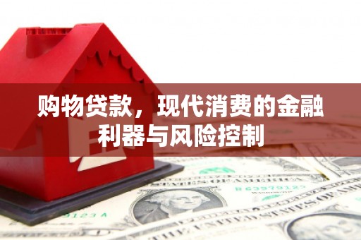 阜城购物贷款，现代消费的金融利器与风险控制