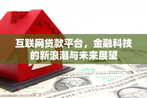 阜城互联网贷款平台，金融科技的新浪潮与未来展望