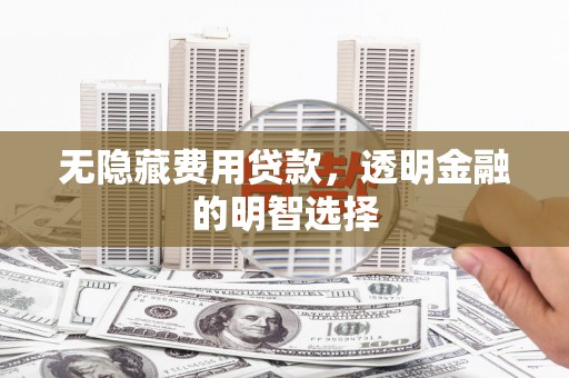 阜城无隐藏费用贷款，透明金融的明智选择