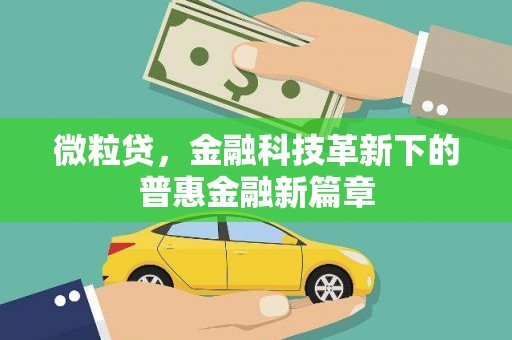 阜城微粒贷，金融科技革新下的普惠金融新篇章