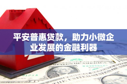 阜城平安普惠贷款，助力小微企业发展的金融利器