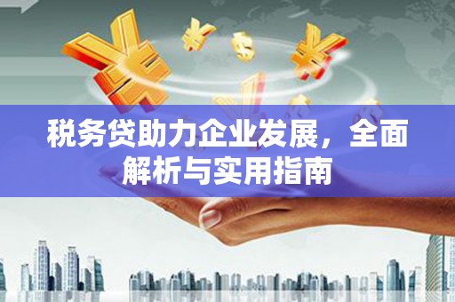 阜城税务贷助力企业发展，全面解析与实用指南